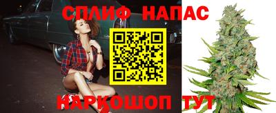 стафф Обнинск