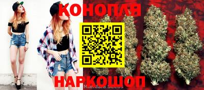 стафф Обнинск