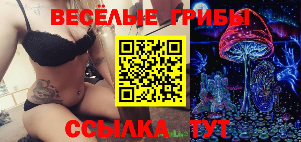 Псилоцибиновые грибы мухоморы Ростов-на-Дону